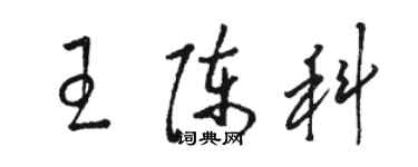 骆恒光王陈科草书个性签名怎么写