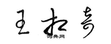 骆恒光王相奇草书个性签名怎么写