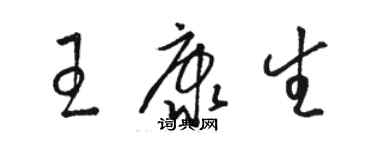 骆恒光王康生草书个性签名怎么写