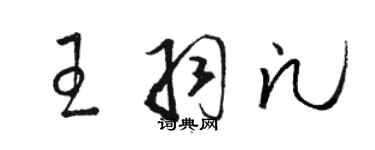 骆恒光王羽凡草书个性签名怎么写