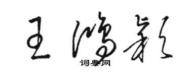 骆恒光王鸿颖草书个性签名怎么写