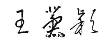 骆恒光王冀颖草书个性签名怎么写