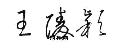 骆恒光王陵颖草书个性签名怎么写