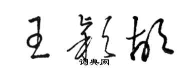 骆恒光王颖胡草书个性签名怎么写