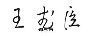 骆恒光王武臣草书个性签名怎么写