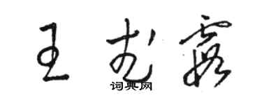 骆恒光王武霞草书个性签名怎么写