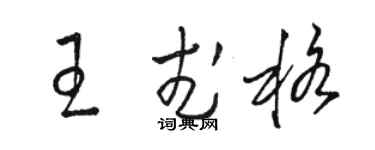 骆恒光王武格草书个性签名怎么写