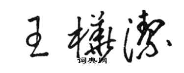 骆恒光王桦洁草书个性签名怎么写