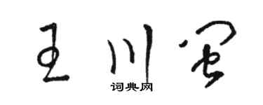 骆恒光王川闽草书个性签名怎么写