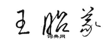 骆恒光王昭义草书个性签名怎么写