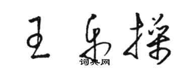 骆恒光王乐操草书个性签名怎么写
