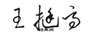 骆恒光王挺高草书个性签名怎么写