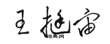 骆恒光王挺宙草书个性签名怎么写