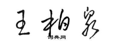 骆恒光王柏泉草书个性签名怎么写