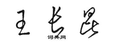 骆恒光王长昆草书个性签名怎么写
