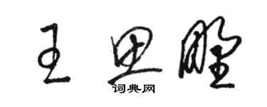 骆恒光王思野草书个性签名怎么写