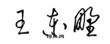 骆恒光王东野草书个性签名怎么写