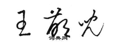 骆恒光王萌儿草书个性签名怎么写