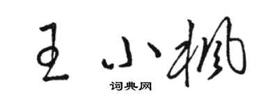 骆恒光王小枫草书个性签名怎么写