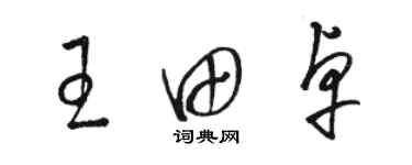 骆恒光王田卓草书个性签名怎么写