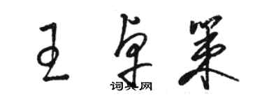 骆恒光王卓策草书个性签名怎么写