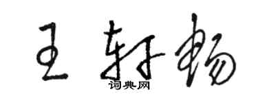 骆恒光王轩畅草书个性签名怎么写