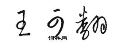 骆恒光王可翻草书个性签名怎么写