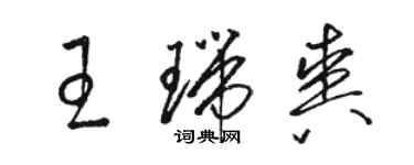 骆恒光王瑞爽草书个性签名怎么写