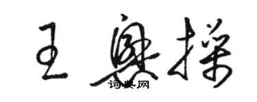 骆恒光王兴操草书个性签名怎么写