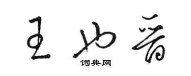骆恒光王也晋草书个性签名怎么写