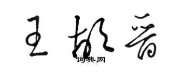 骆恒光王胡晋草书个性签名怎么写