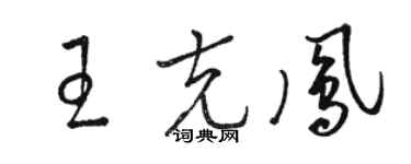 骆恒光王克凤草书个性签名怎么写