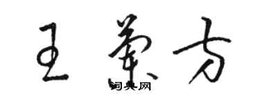 骆恒光王兰方草书个性签名怎么写