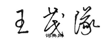 骆恒光王茂队草书个性签名怎么写