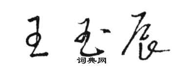 骆恒光王玉辰草书个性签名怎么写