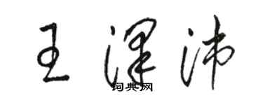 骆恒光王泽沛草书个性签名怎么写