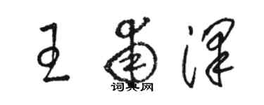 骆恒光王甫泽草书个性签名怎么写