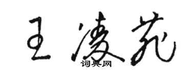 骆恒光王凌菲草书个性签名怎么写
