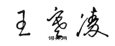 骆恒光王寒凌草书个性签名怎么写