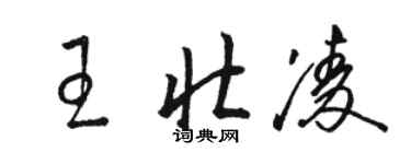 骆恒光王壮凌草书个性签名怎么写