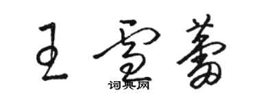 骆恒光王雪蕾草书个性签名怎么写