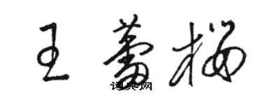 骆恒光王蕾樱草书个性签名怎么写