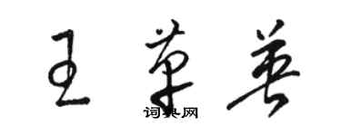 骆恒光王革英草书个性签名怎么写