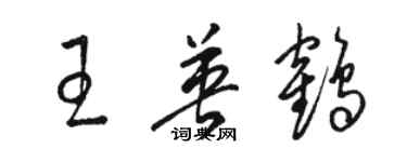 骆恒光王英鹤草书个性签名怎么写