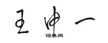 骆恒光王申一草书个性签名怎么写