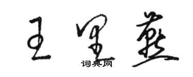 骆恒光王里燕草书个性签名怎么写