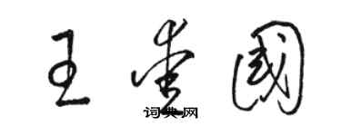 骆恒光王爱国草书个性签名怎么写