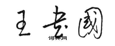 骆恒光王书国草书个性签名怎么写