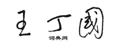 骆恒光王丁国草书个性签名怎么写