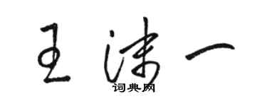 骆恒光王沫一草书个性签名怎么写
